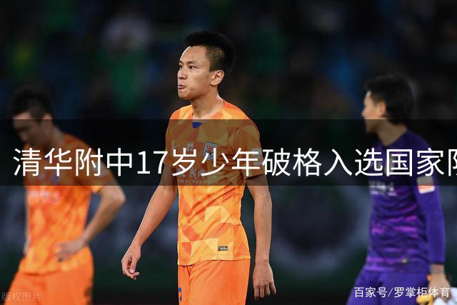 清华附中17岁少年破格入选国家队，青训模式引热议